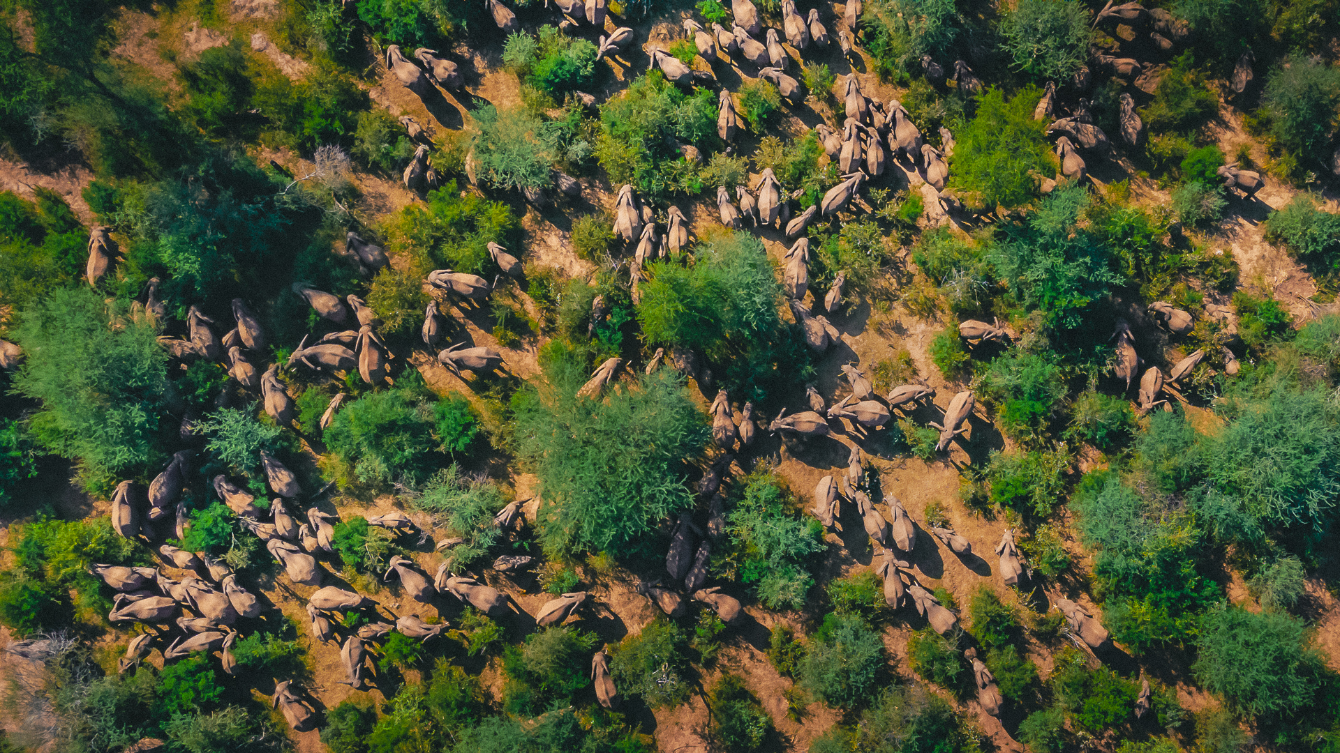 Agoro Lieye - Image 2