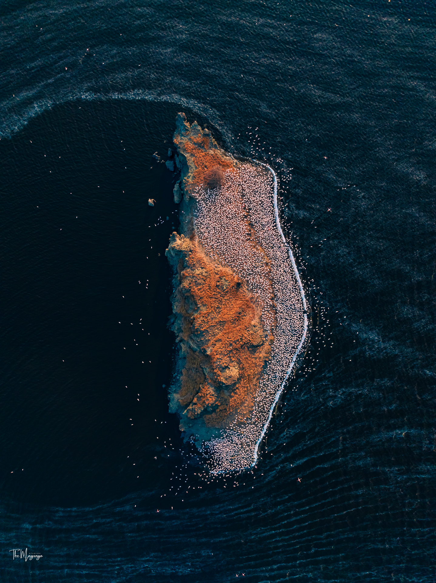 Lake Natron in Pink - Image 4