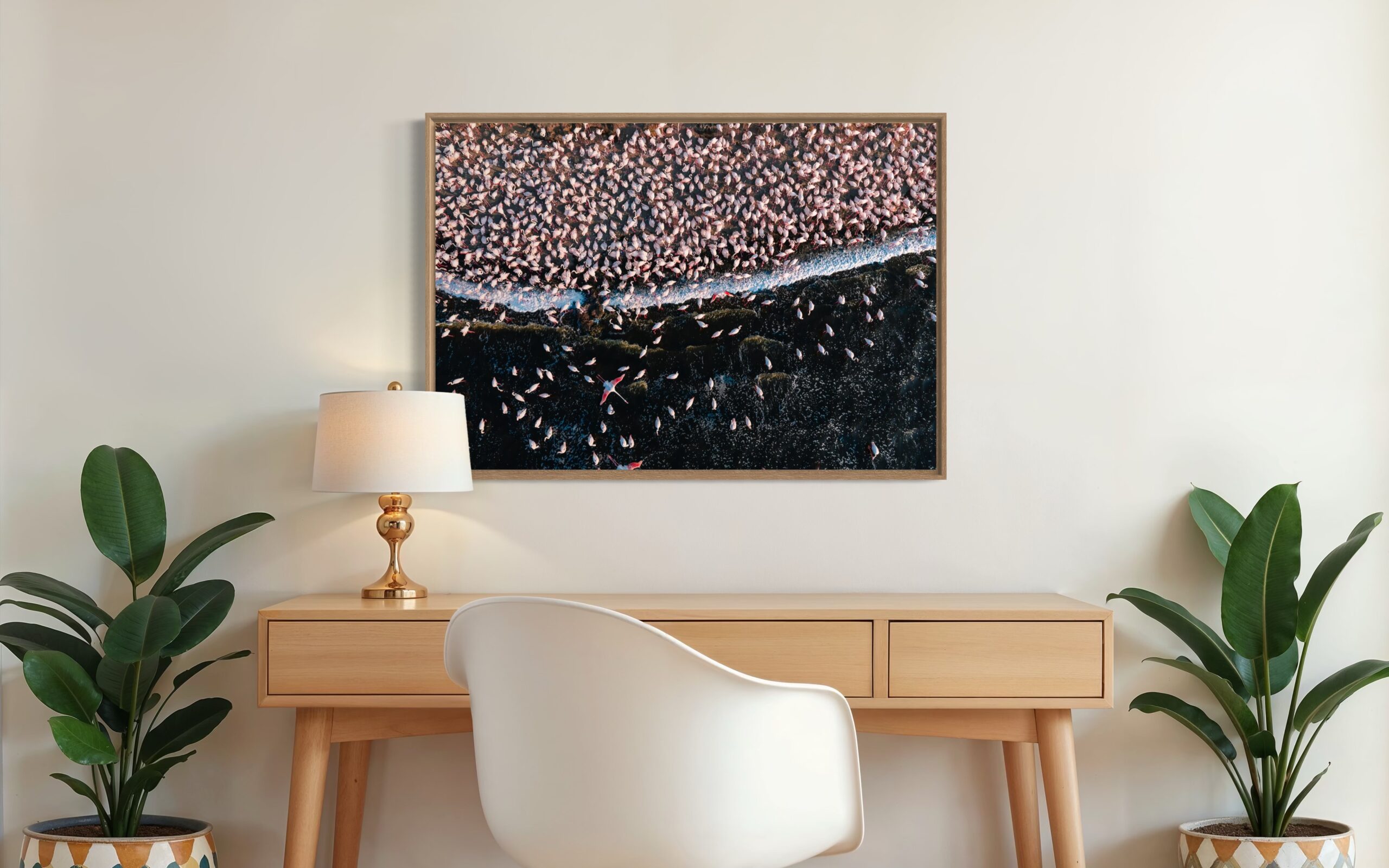 Flamboyance - Image 2