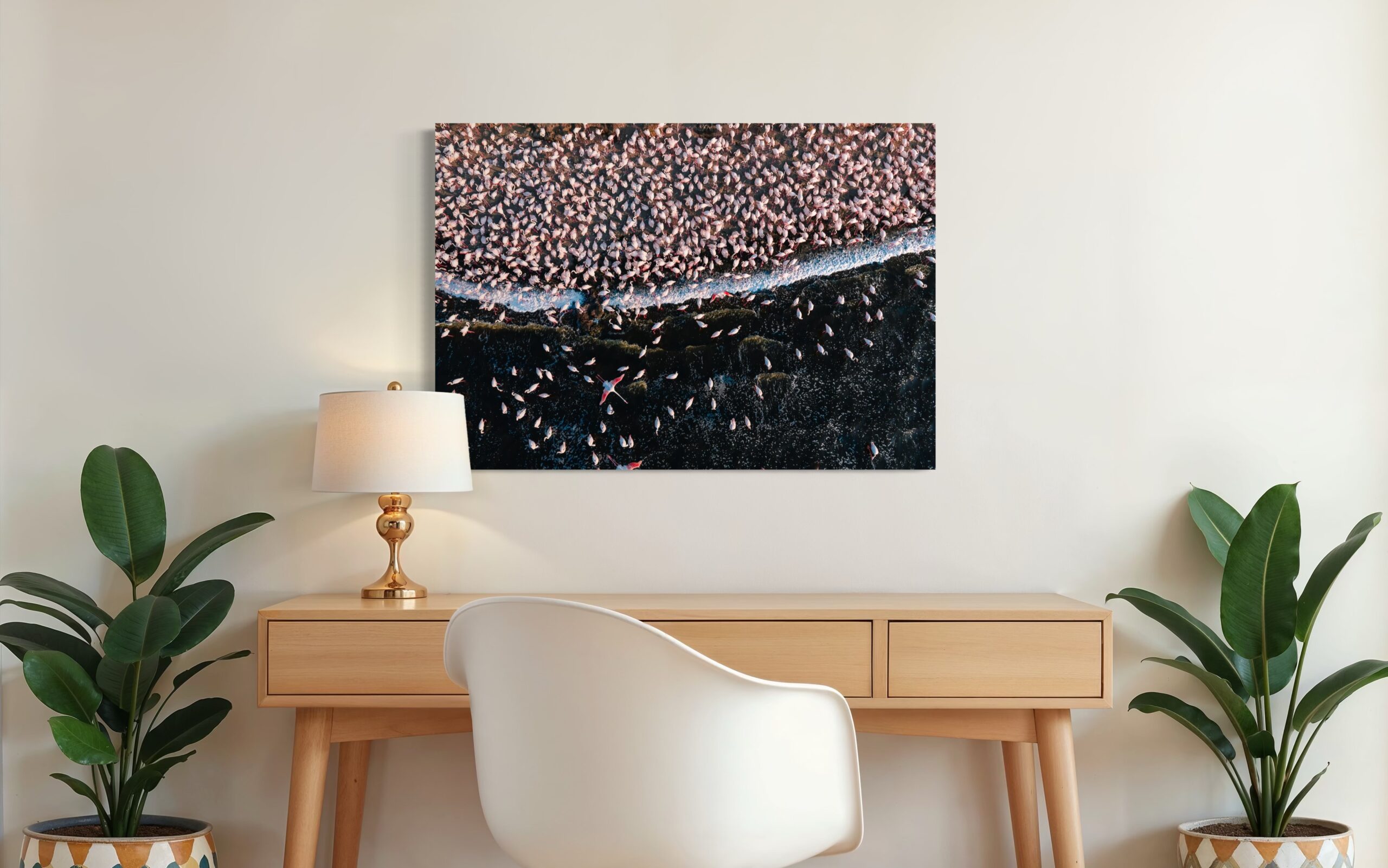 Flamboyance - Image 3