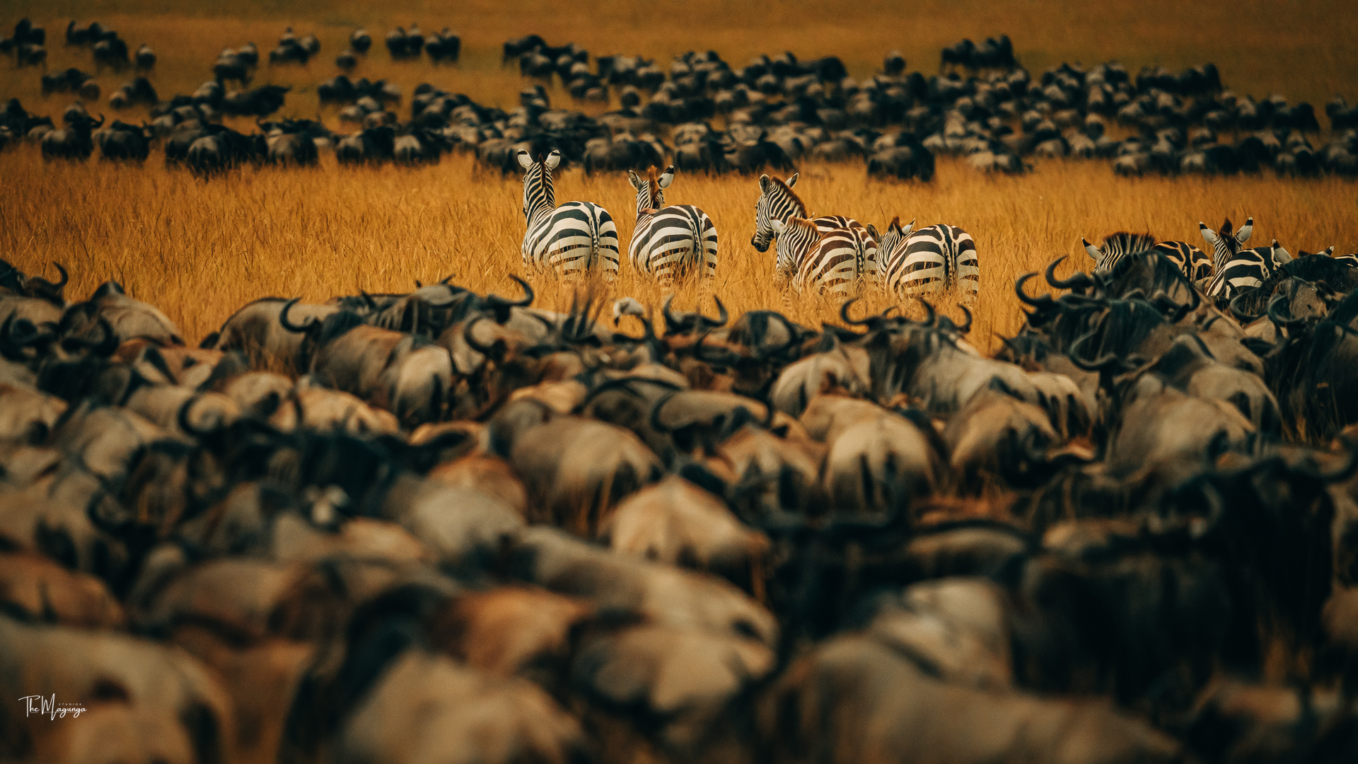 Together in Motion - Image 3